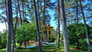 A yellow building surrounded by tall trees and a hammock in a grassy area. - Villa Cuculo - Holiday villa with swimming pool in Valdichiana, Tuscany (Patrignone)