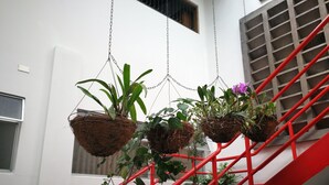 Uma escadaria com corrimãos vermelhos e vasos suspensos com diversas plantas.