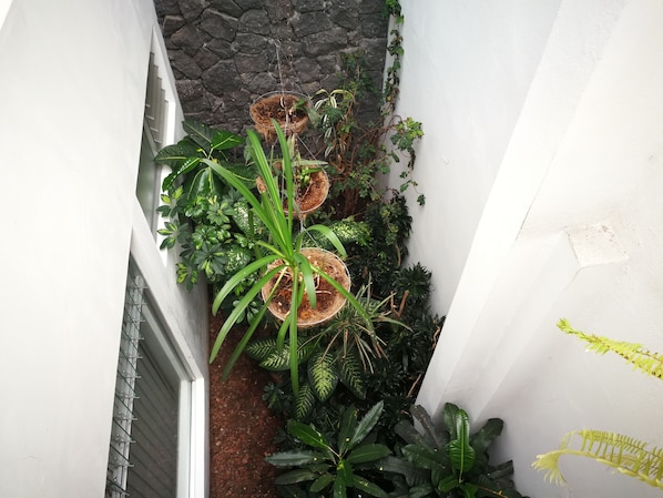 Interior - Hotel Hojarascas (Heredia)