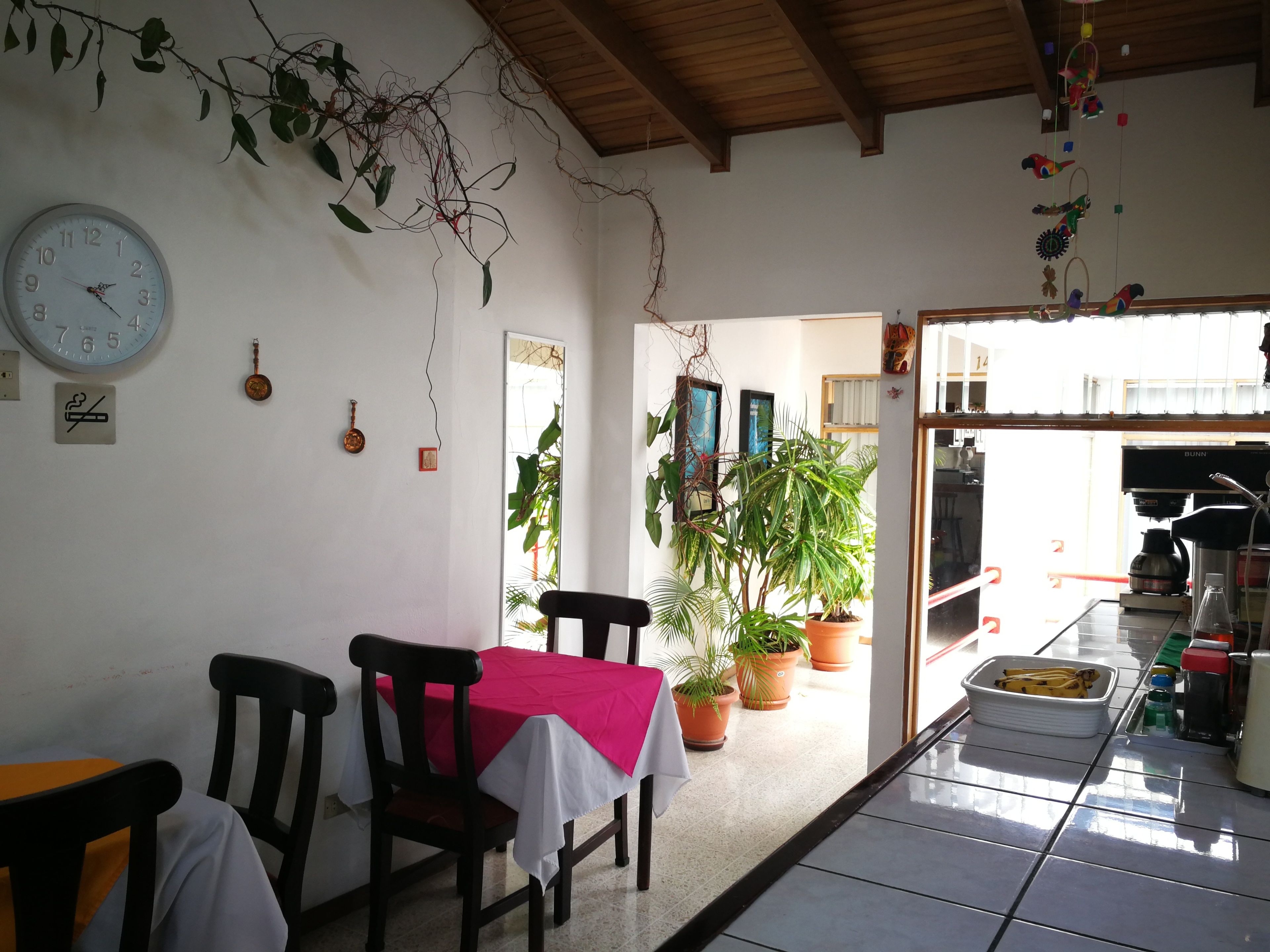 A dining area with a table and chairs, a clock, and potted plants.