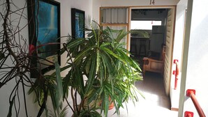 Corredor com planta em vaso, obra de arte emoldurada e porta com o número 14.