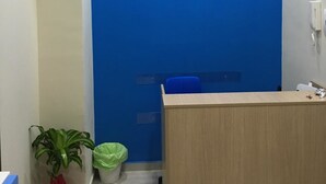 Un'area reception con parete blu, scrivania in legno, pianta in vaso, cestino e telefono a muro.