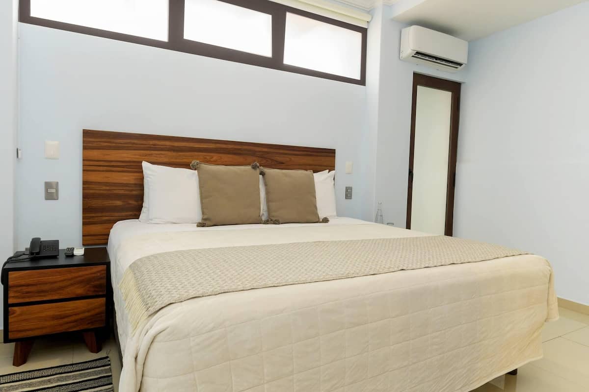 premium room, 1 king bed with sofa bed | 2 bedrooms, egyptian cotton sheets, premium bedding, down duvets