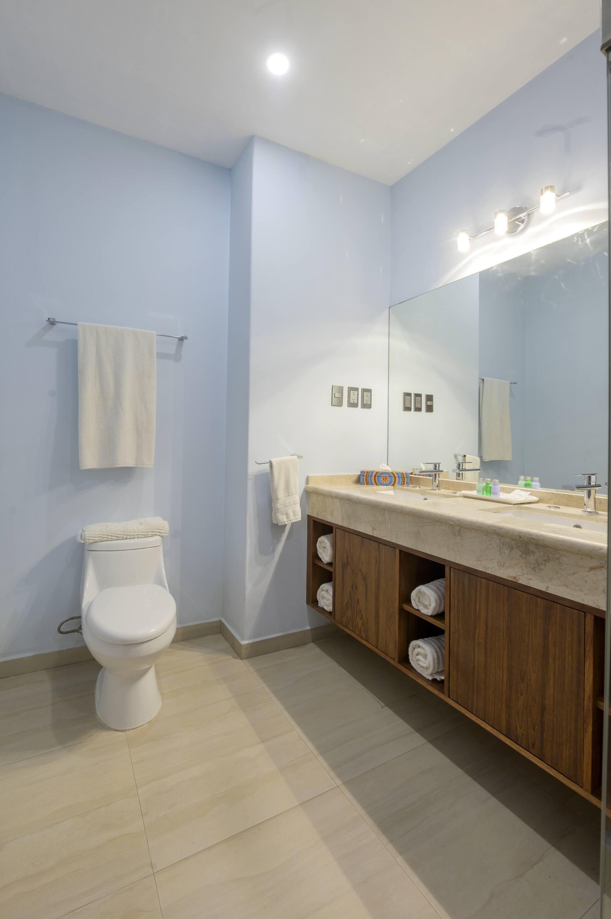 superior suite, 2 bedrooms, 2 bathrooms (sala y comedor) | bathroom | shower, rainfall showerhead, free toiletries, hair dryer