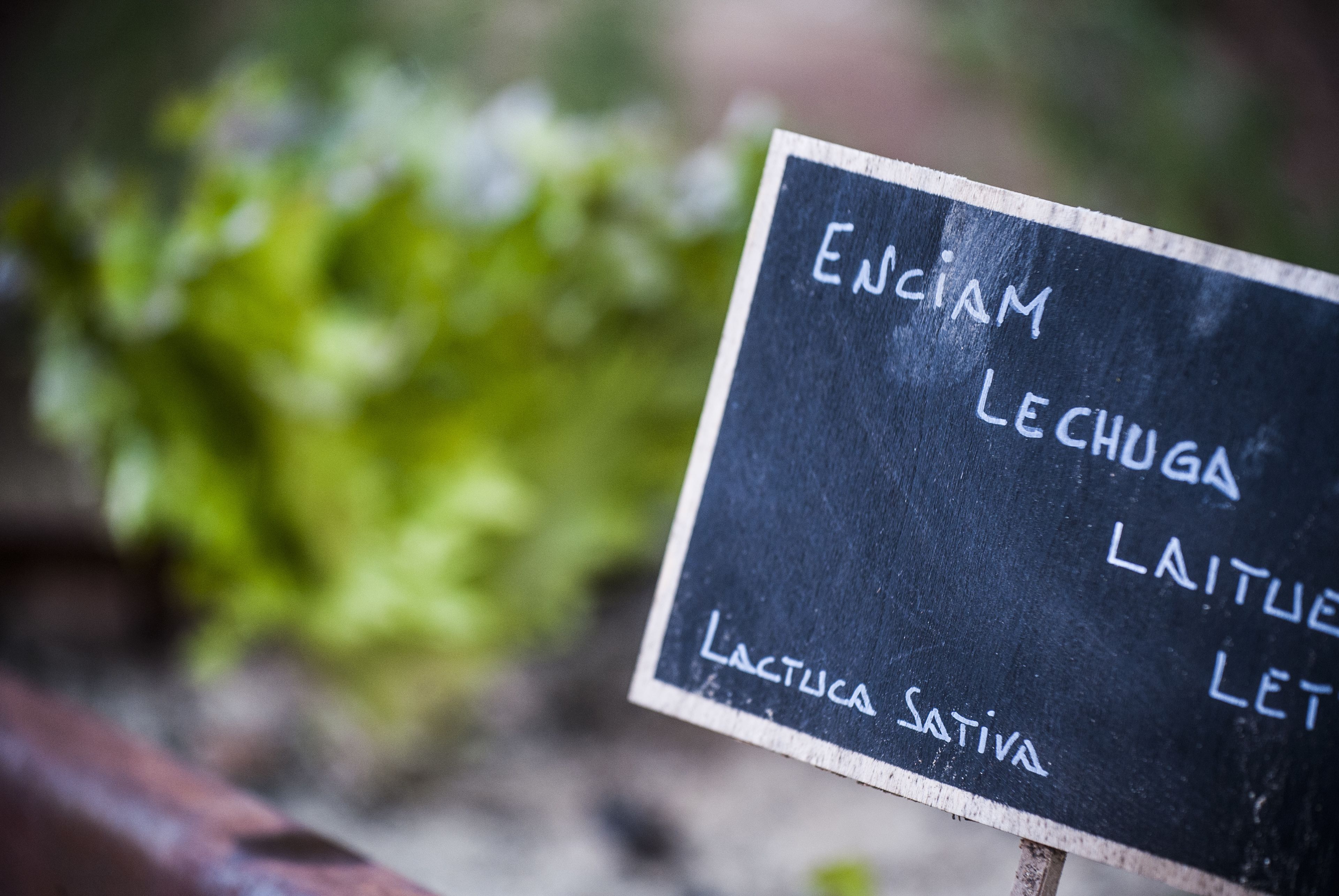 Foto - Suites Natura Mas Tapiolas