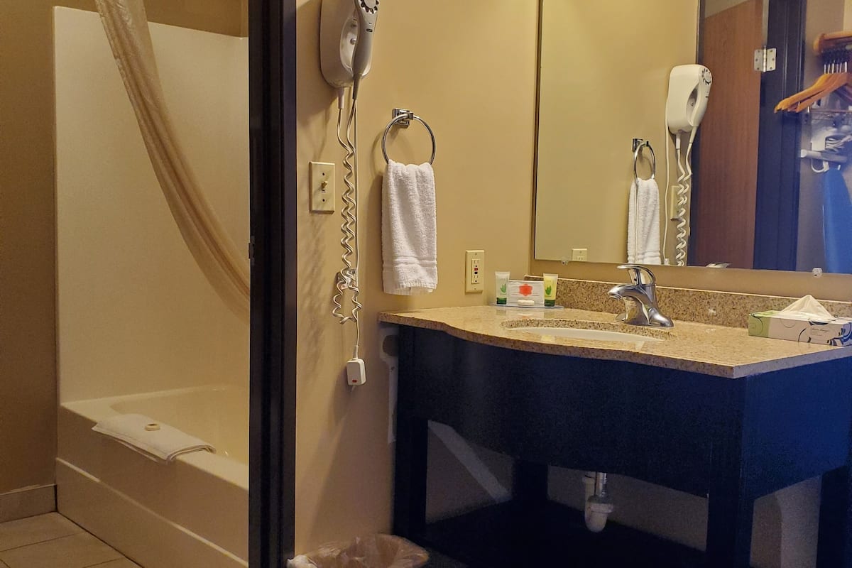 combined shower/bathtub, free toiletries, hair dryer, towels