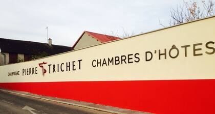 Champagne - Chambre d'hotes Pierre Trichet