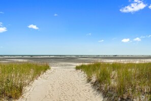 Plage, chaises longues
