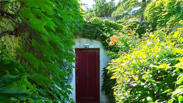 A narrow stone pathway leading to a red door, surrounded by lush green foliage. - Charming 3 bedrooms cottage with a pool  for a typical experience in Provence (Saint-Rémy-de-Provence)