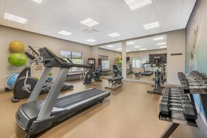 A gym with treadmills, elliptical machines, and free weights.