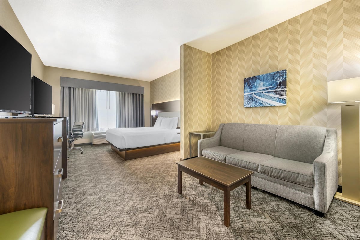 Suite, 1 King Bed, Non Smoking, Refrigerator & Microwave (with Sofabed)