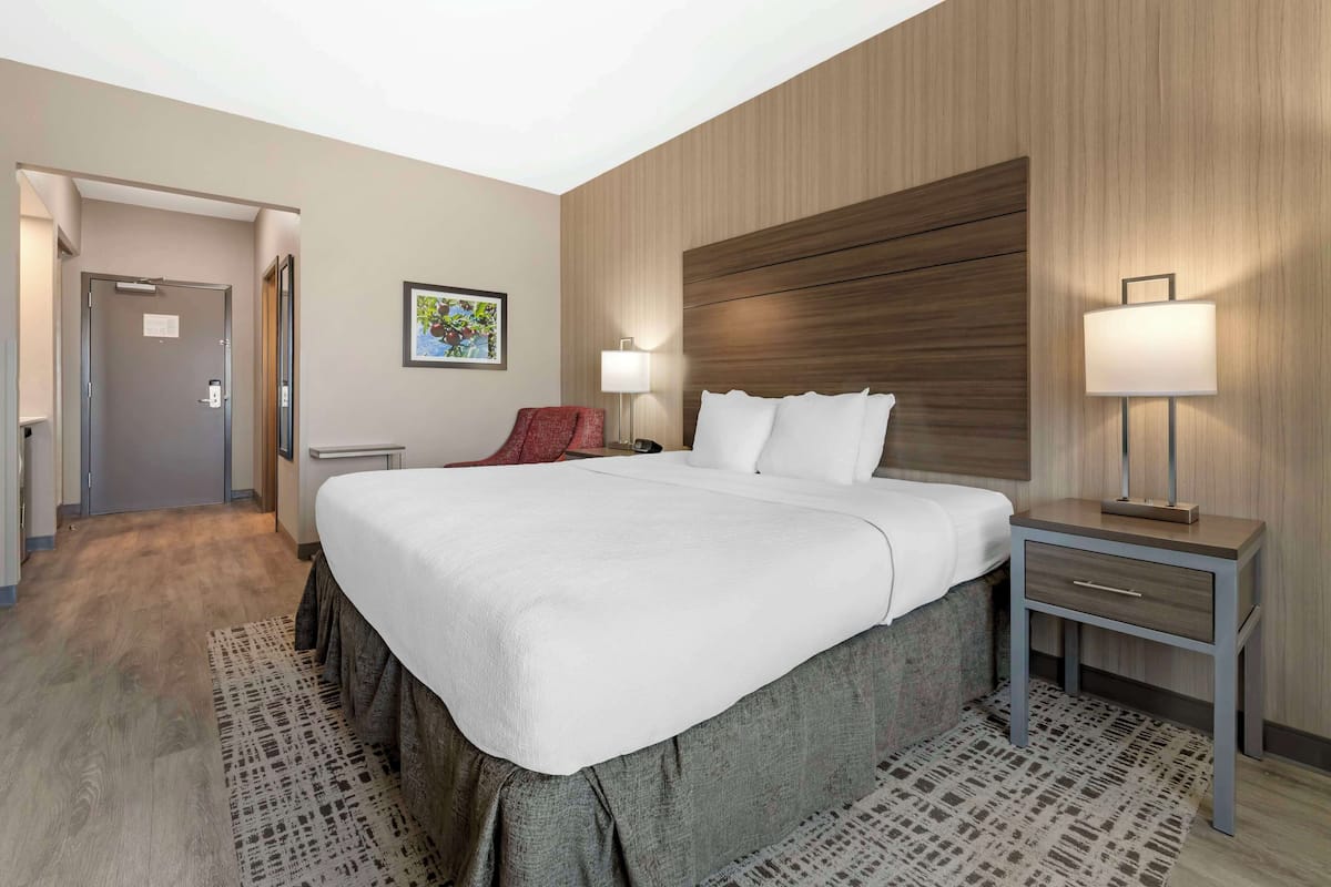 A hotel room with a large bed, a bedside table with a lamp, a chair, a door, and a patterned rug.