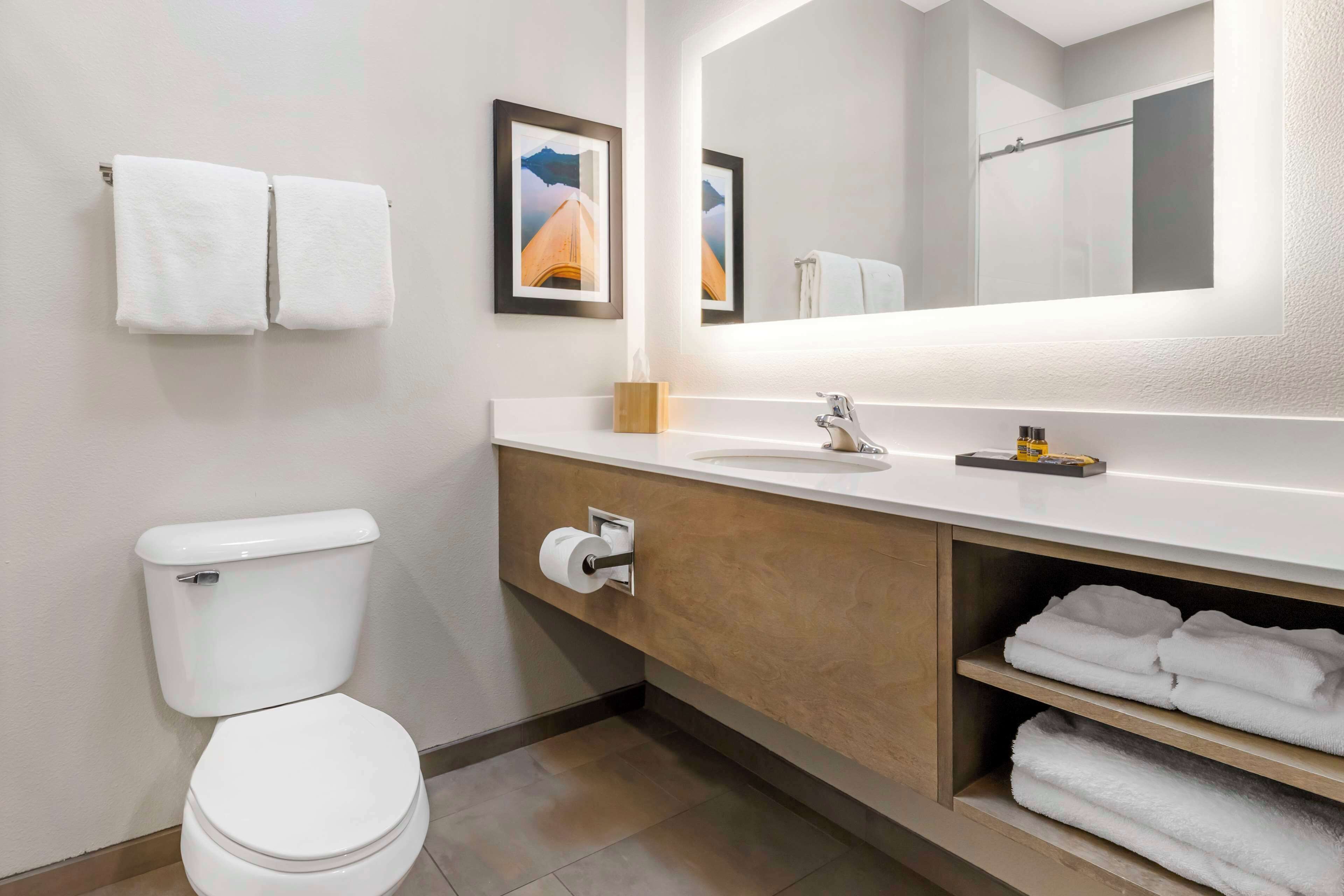 combined shower/bathtub, free toiletries, hair dryer, towels