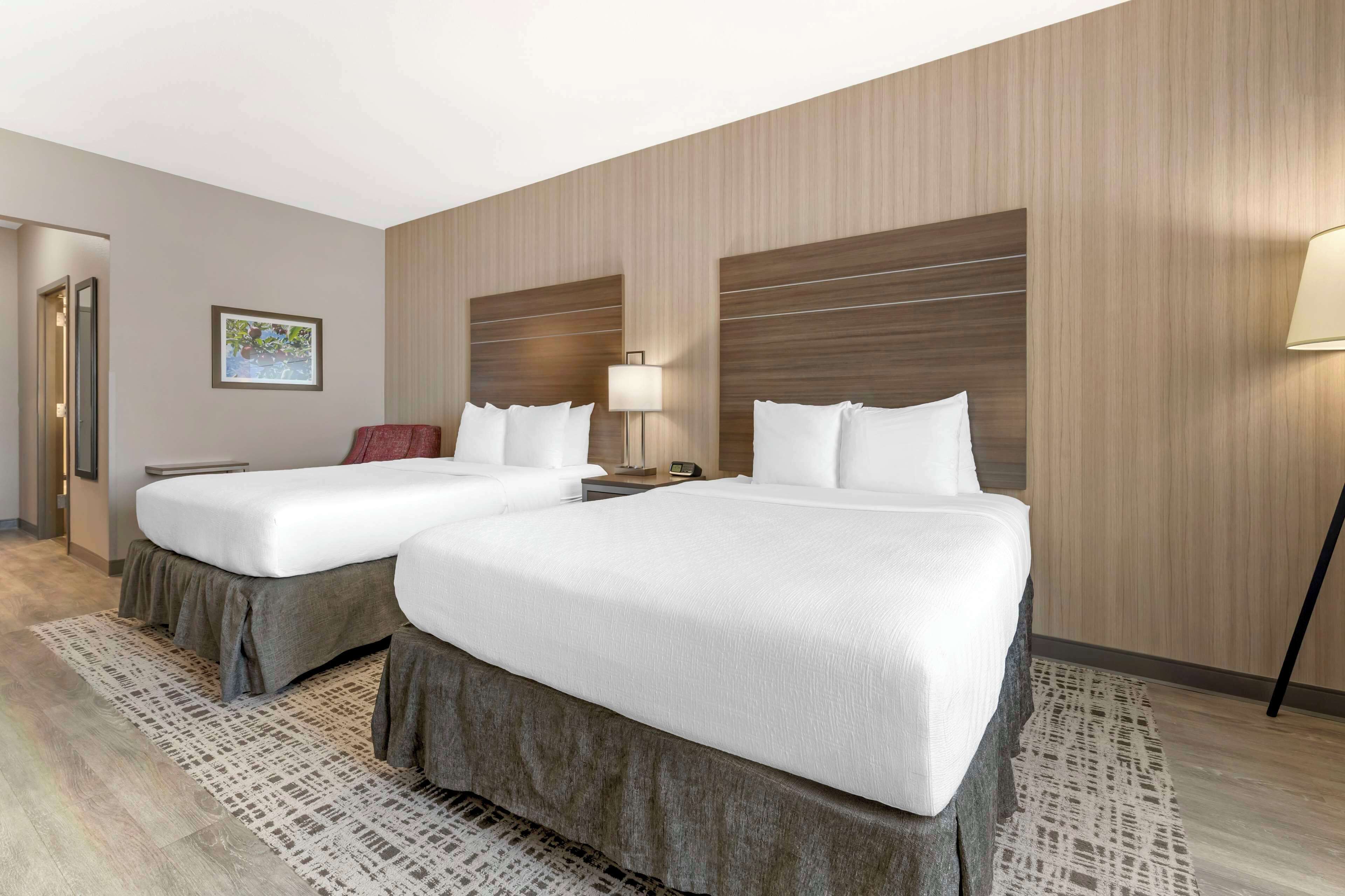 Habitación de hotel con dos camas, un panel de pared de madera, alfombra estampada, lámpara de noche y un cuadro enmarcado en la pared.