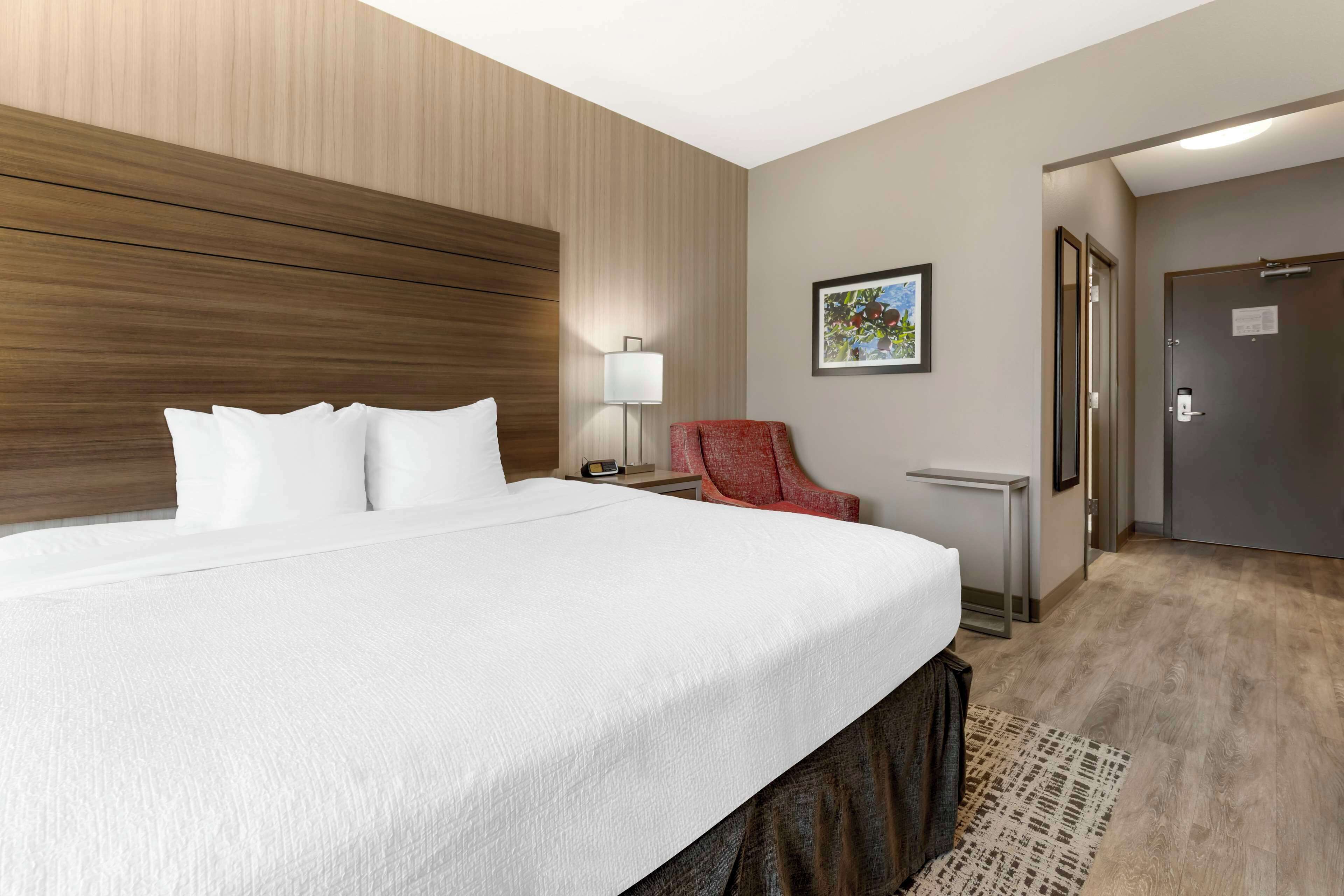 Une chambre d’hôtel avec un grand lit, un fauteuil rouge, une lampe et un tableau encadré au mur.