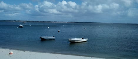 在海灘附近、躺椅