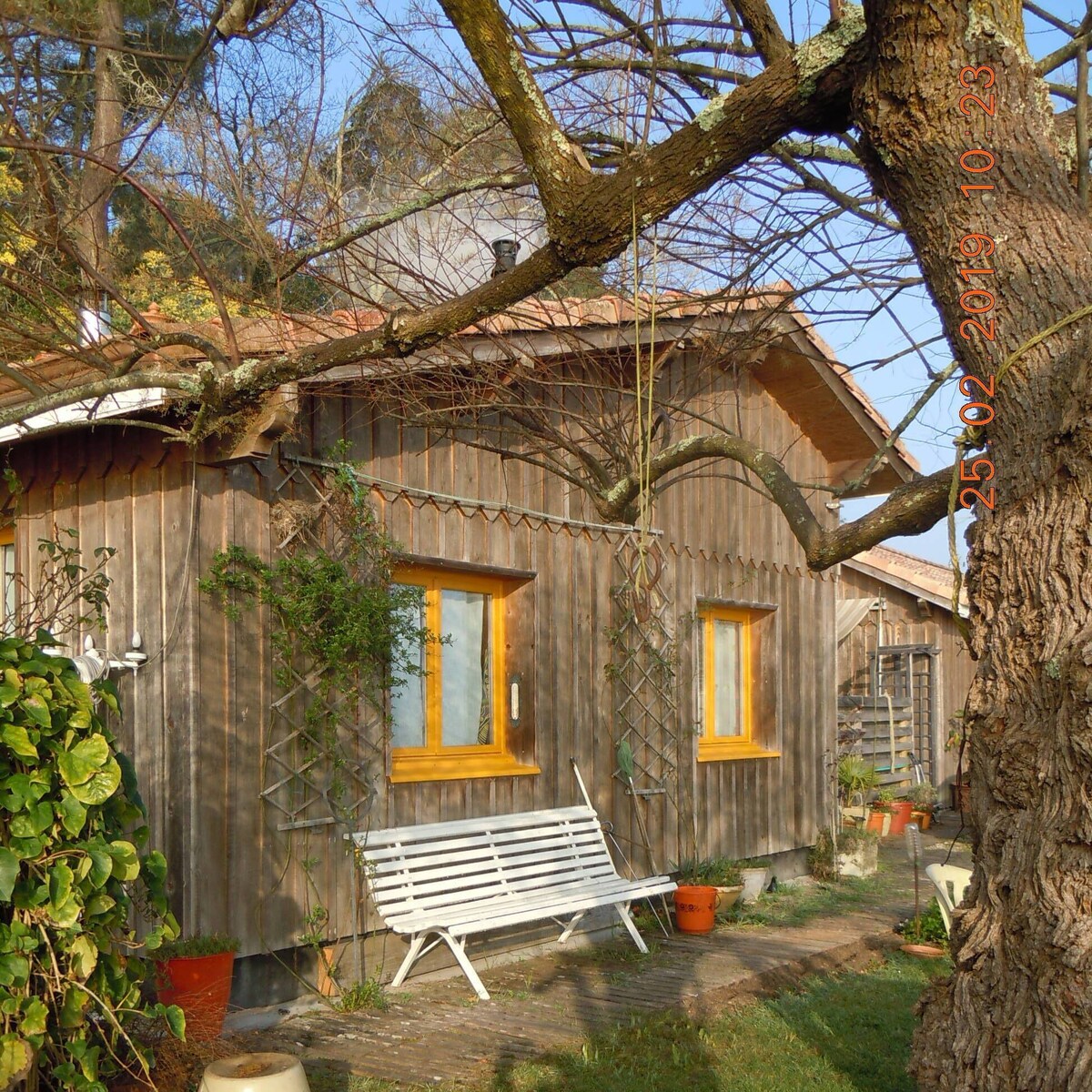 Image de profil de l’hôte