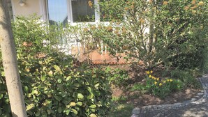 Un jardin avec différentes plantes et fleurs, un chemin pavé et, au fond, un bâtiment doté d’une fenêtre et d’un balcon.