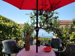 Outdoor dining - Family apartment with terrace (Stanici)