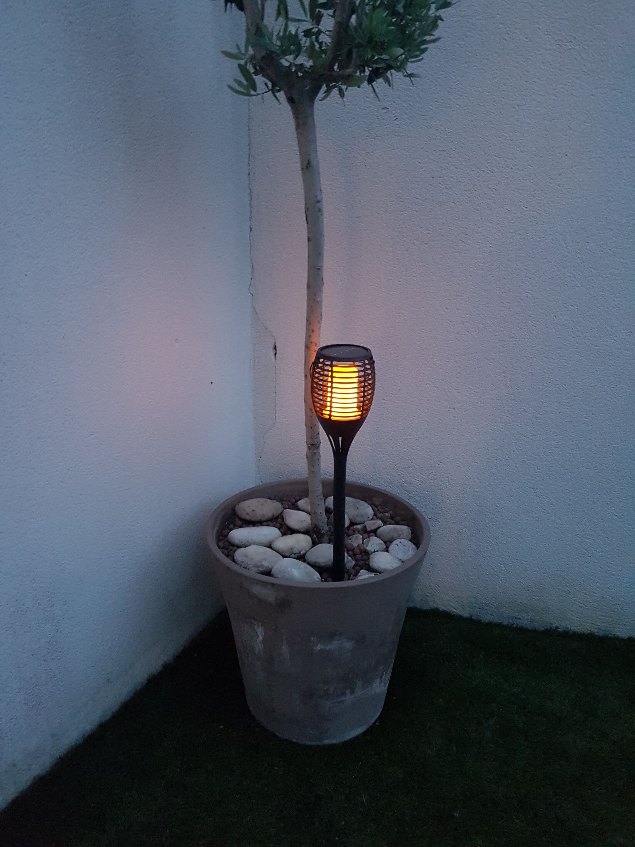 Une plante en pot, avec un petit arbre et un luminaire décoratif placé dans un coin.