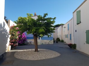 Une rue étroite, avec un arbre au centre, bordée de bâtiments blancs aux volets verts, qui mène à un plan d’eau.