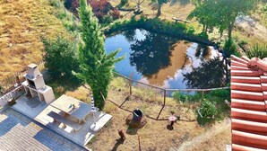 Een tuin met een vijver, bomen, een picknicktafel en een barbecue.