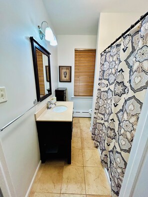 Combined shower/tub, hair dryer, toilet paper