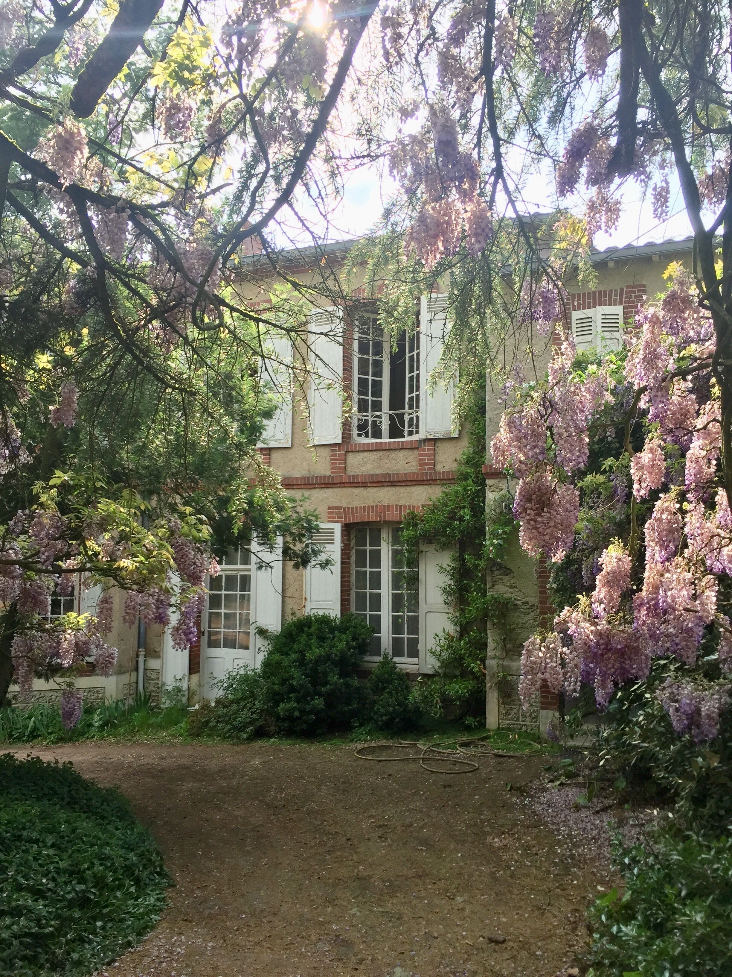 A building with multiple windows, surrounded by lush greenery and flowering trees.