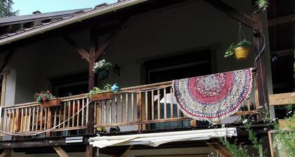 appartement rdc dans maison avec jardin