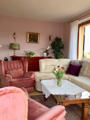 TV connectée, cheminée, lecteur de DVD, livres