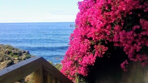 Vista costera con una escalera de madera que conduce a un balcón con vista al mar.