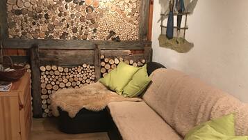 Télévision, cheminée, lecteur de DVD, livres