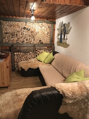 Fernseher, Kamin, DVD-Player, Bücher