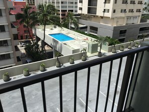 A rooftop pool with a blue pool, surrounded by potted plants and palm trees, with buildings in the background.