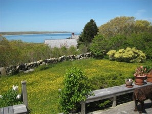 Enjoy a serene view of the water from the deck, surrounded by lush greenery and a pet-friendly atmosphere.