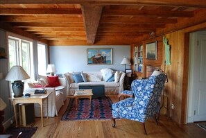 Smart TV, caminetto, lettore DVD, libri