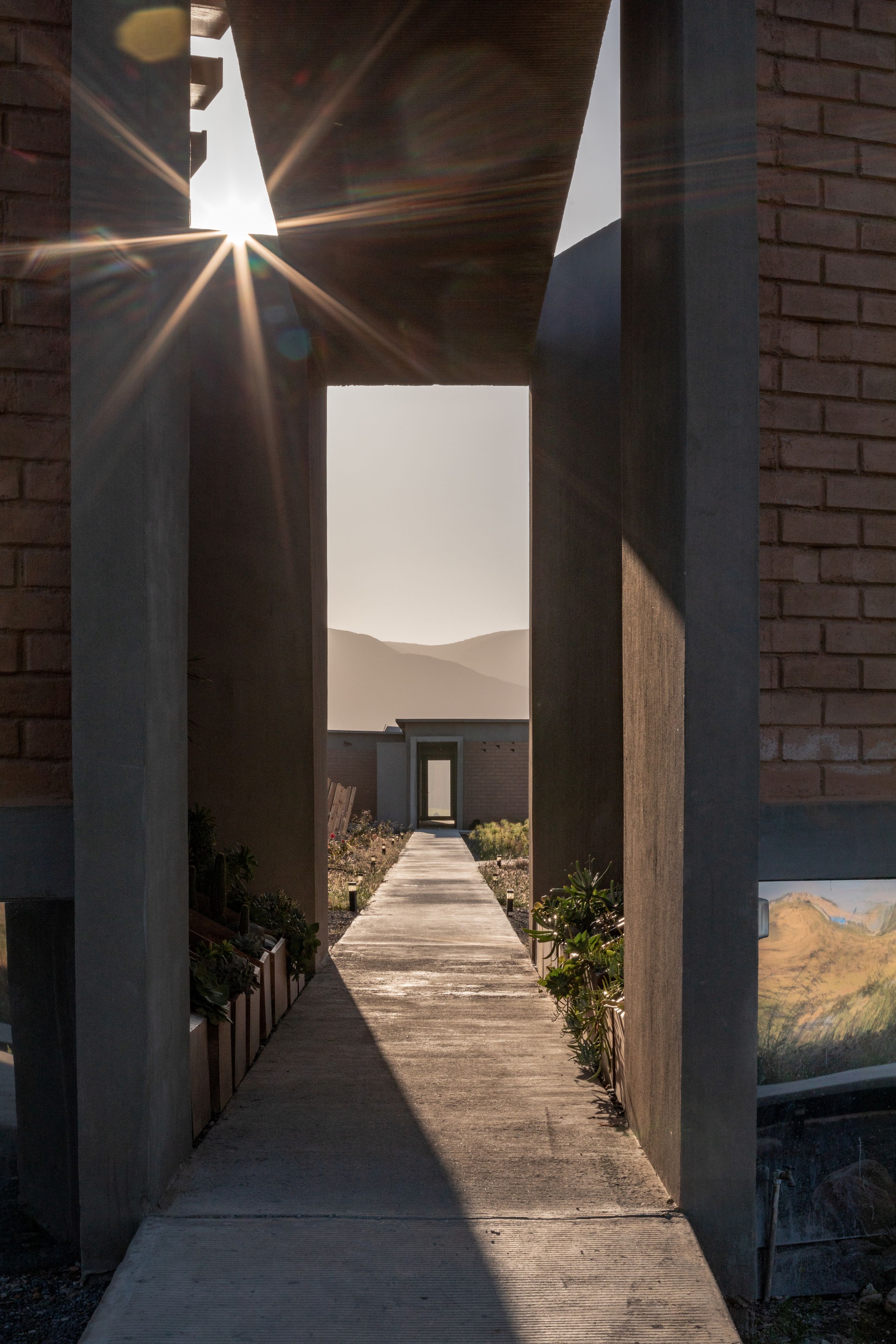 Un chemin en béton menant à l’entrée d’un bâtiment, bordé de murs en briques et de plantes.