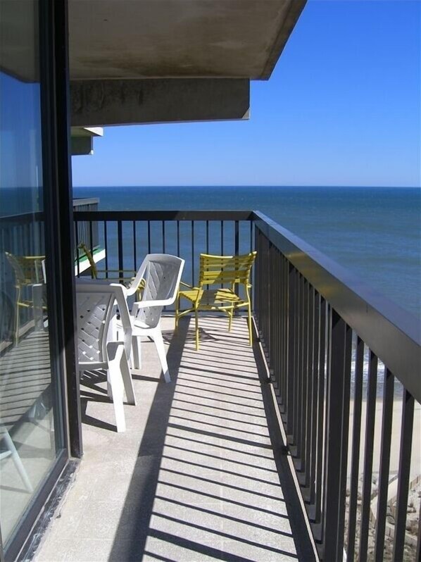 Property grounds - Sea Watch Unit 1614- Beautiful Ocean Front Condo has been completely UPDATED (Ocean City)