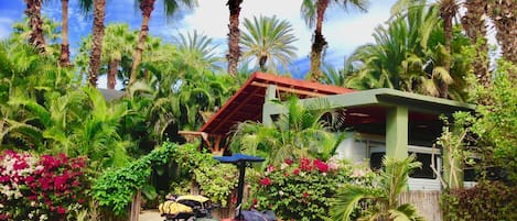 A quad bike parked in a lush garden with palm trees and flowering plants, a small building with a red roof, and a bamboo fence.