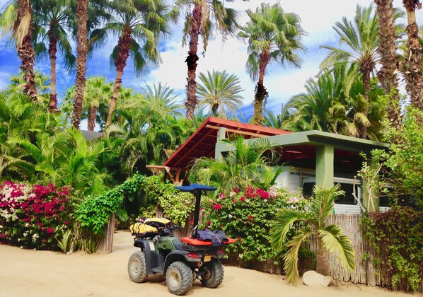 A quad bike parked in a lush garden with palm trees and flowering plants, a small building with a red roof, and a bamboo fence.