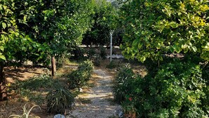 Un chemin de gravier bordé d’une végétation luxuriante et d’arbres, qui mène à une zone ombragée.