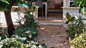 Un espace jardin aménagé avec une table et des chaises, entouré de différentes plantes et d’un petit arbre.