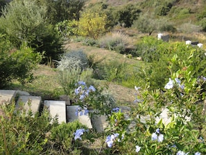 Terrain de l’hébergement