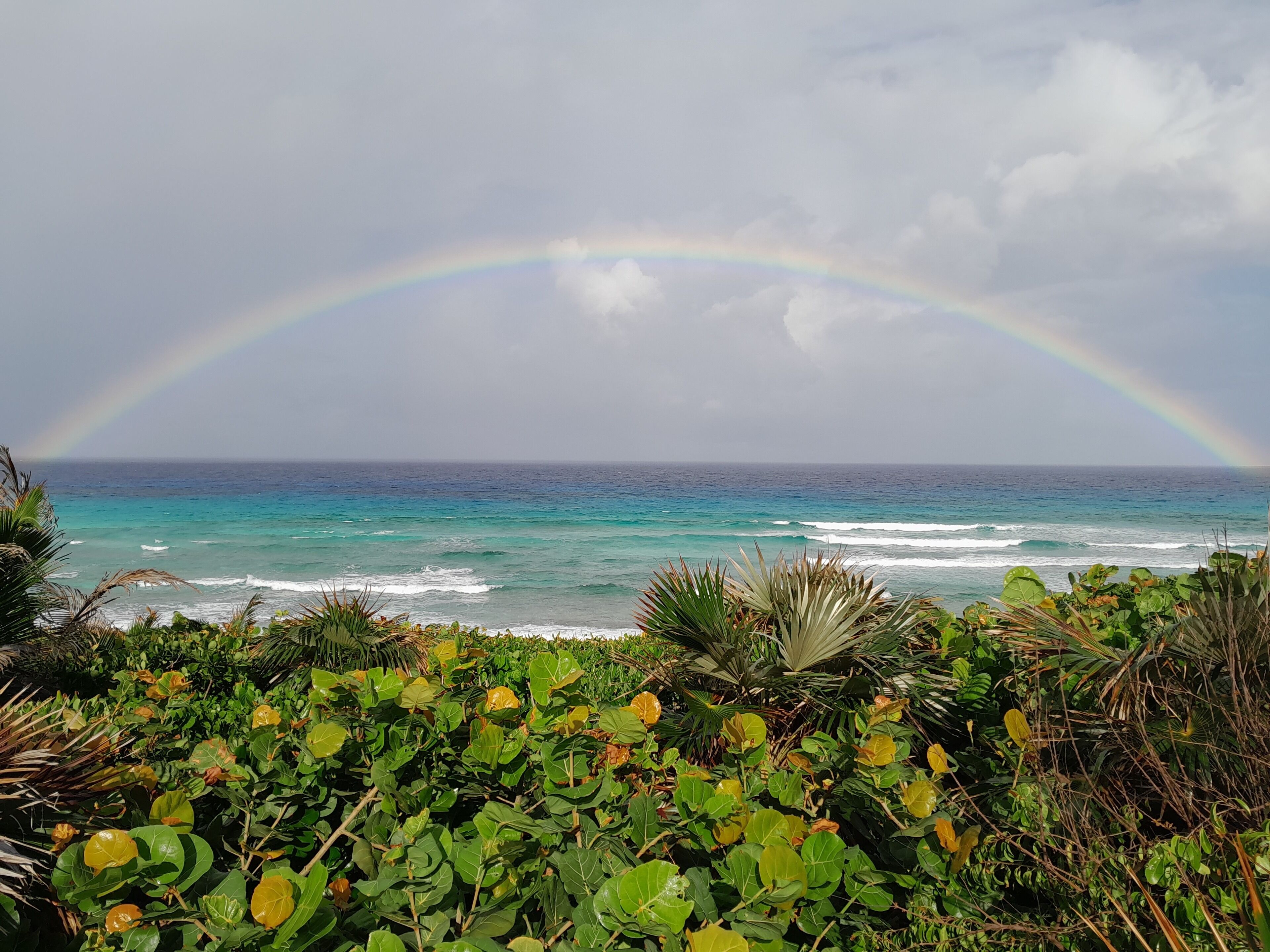 A beach with a rainbow over the ocean, surrounded by lush greenery.