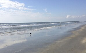 Beach nearby, sun loungers, beach towels