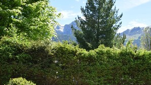 Un giardino curato con diverse piante e rocce, un albero alto e una catena montuosa sullo sfondo.