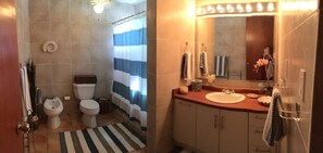 Tina con regadera, secadora de cabello, bidet, toallas