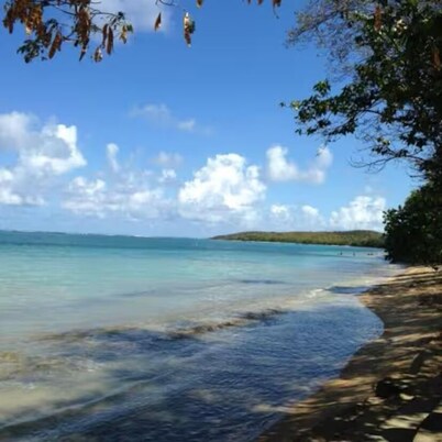 Affordable & Beautiful Dream Condo with a private pool near  Seven Seas Beach