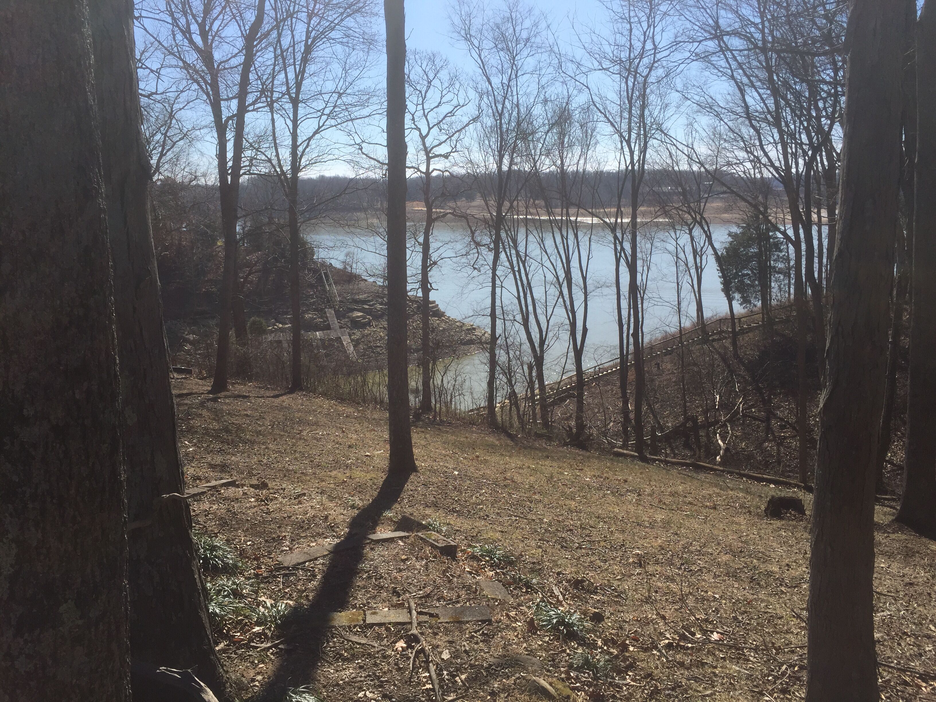 A natural landscape with a body of water, trees, and a wooden bridge.