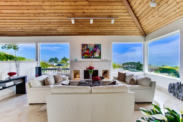 Smart TV, fireplace, books